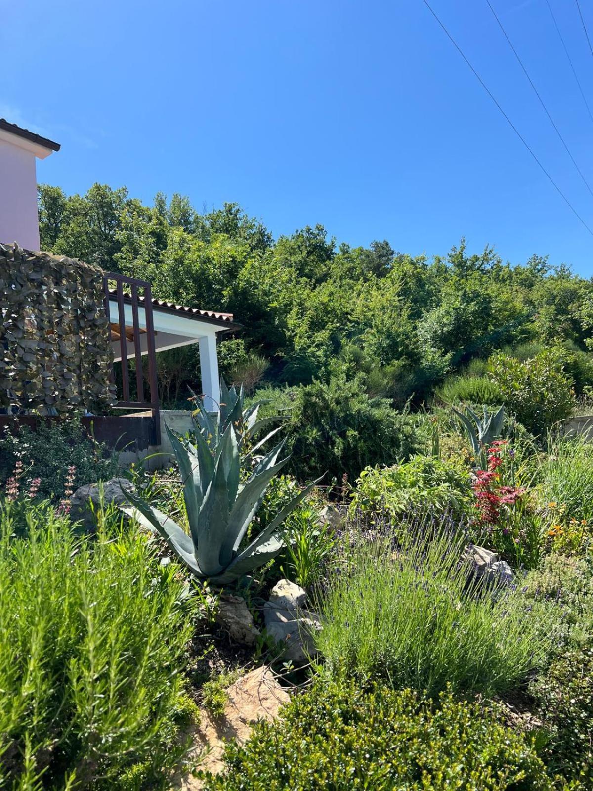 Villa El Istria Labin  Exterior foto